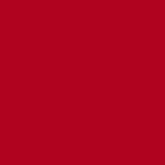 Crvena 19338